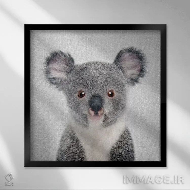 تابلو بچه کوالا اثر گال دیزاین - نمای قابدار مشکی
