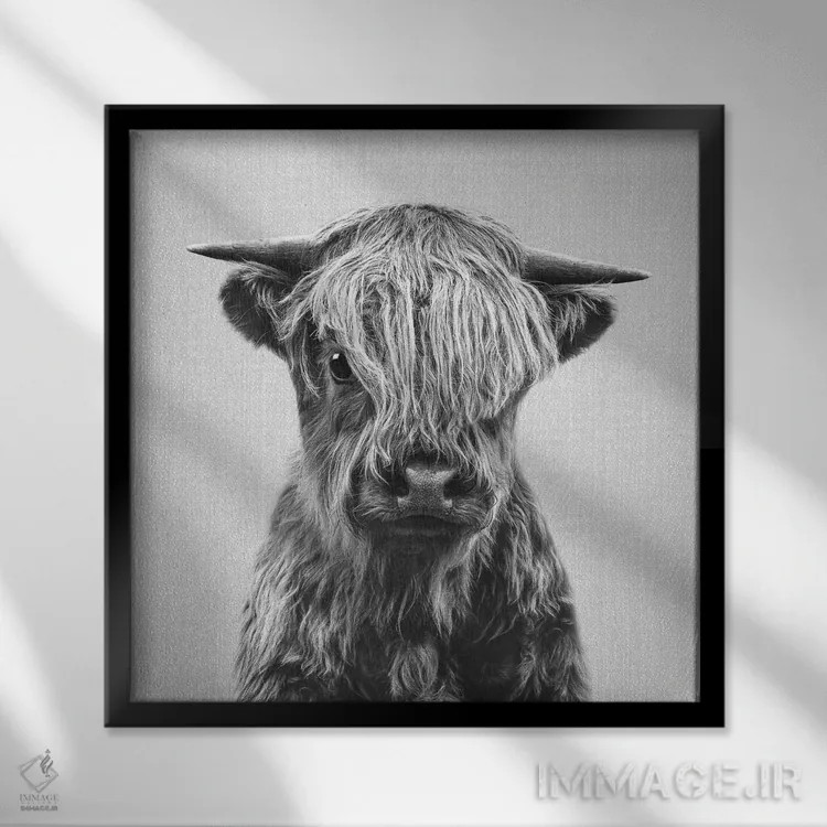 تابلو گوساله کوهستانی در سیاه و سفید اثر گال دیزاین - نمای قابدار مشکی