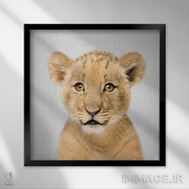 تابلو بچه شیر اثر گال دیزاین - نمای قابدار مشکی