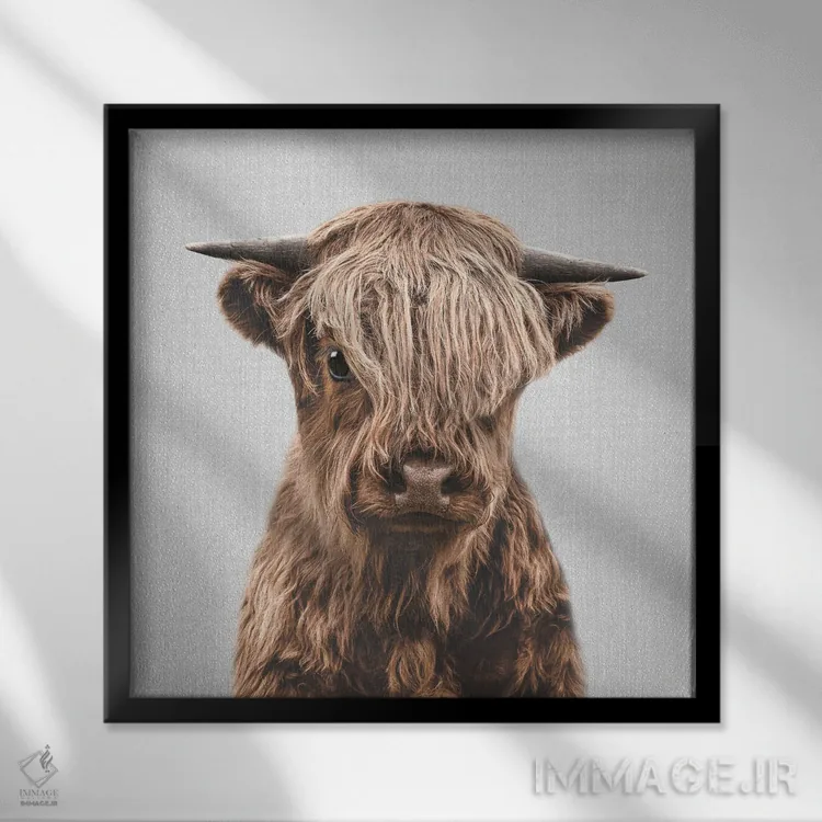 تابلو گوساله کوهستانی اثر گال دیزاین - نمای قابدار مشکی