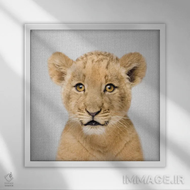 تابلو بچه شیر اثر گال دیزاین - نمای قابدار سفید