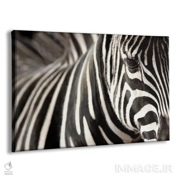 تابلو گورخر ۵ اثر گوران آناستاسوفسکی (عکاس طبیعت مقدونیه) - نمای پرسپکتیو محصول