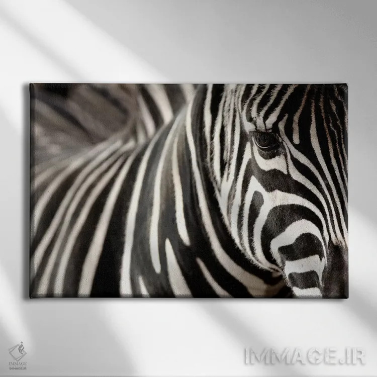 تابلو گورخر ۵ اثر گوران آناستاسوفسکی (عکاس طبیعت مقدونیه) - نمای روبهرو روی دیوار