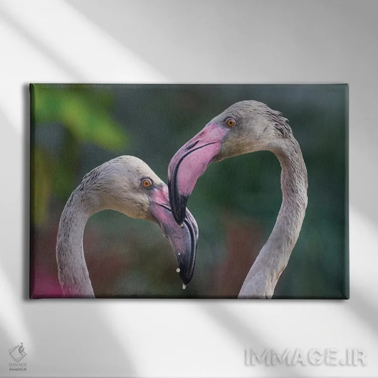 تابلو مرغ عشق اثر گوران آناستاسوفسکی (عکاس طبیعت مقدونیه) - نمای روبهرو روی دیوار