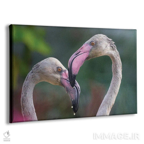 تابلو مرغ عشق اثر گوران آناستاسوفسکی (عکاس طبیعت مقدونیه) - نمای پرسپکتیو محصول