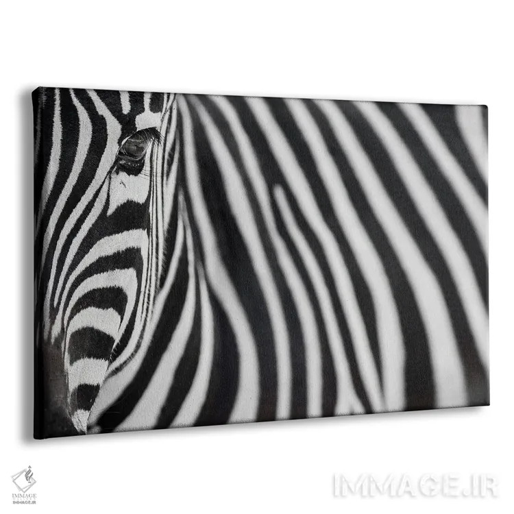 تابلو گورخر ۲۰ اثر گوران آناستاسوفسکی (عکاس طبیعت مقدونیه) - نمای پرسپکتیو محصول