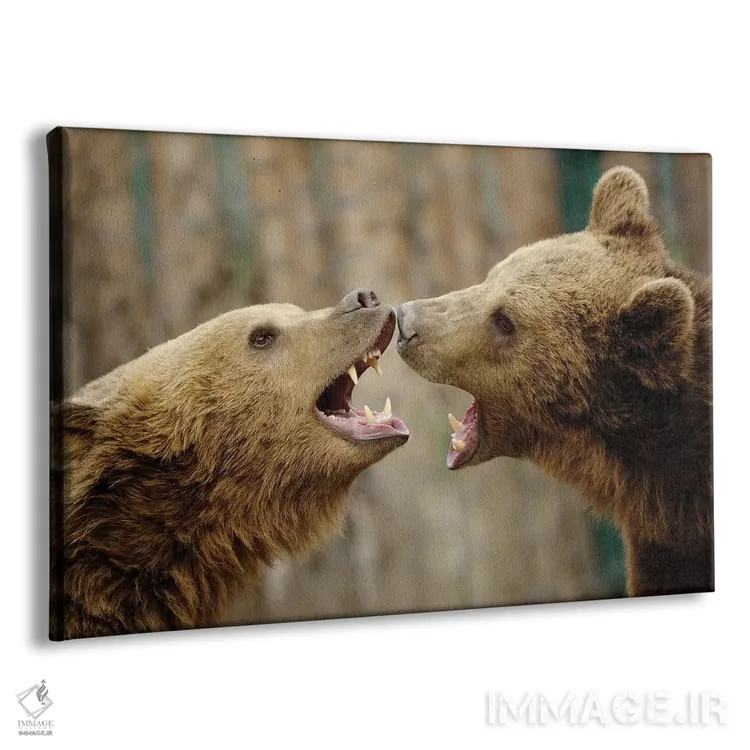 تابلو مبارزه اثر گوران آناستاسوفسکی (عکاس طبیعت مقدونیه) - نمای پرسپکتیو محصول