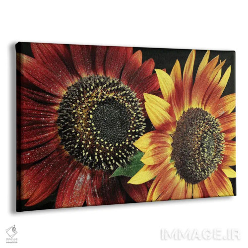 تابلو گل ۱ اثر گوران آناستاسوفسکی (عکاس طبیعت مقدونیه) - نمای پرسپکتیو محصول