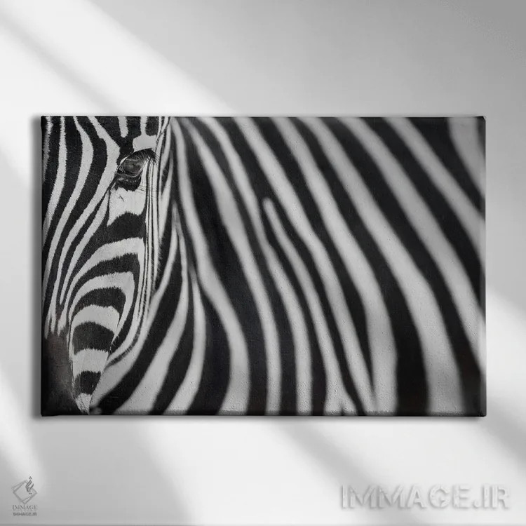 تابلو گورخر ۲۰ اثر گوران آناستاسوفسکی (عکاس طبیعت مقدونیه) - نمای روبهرو روی دیوار