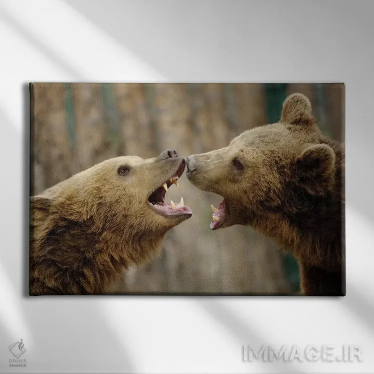 تابلو مبارزه اثر گوران آناستاسوفسکی (عکاس طبیعت مقدونیه) - نمای روبهرو روی دیوار