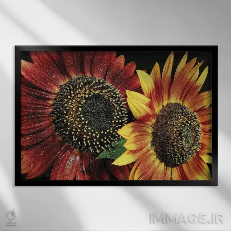 تابلو گل ۱ اثر گوران آناستاسوفسکی (عکاس طبیعت مقدونیه) - نمای قابدار مشکی