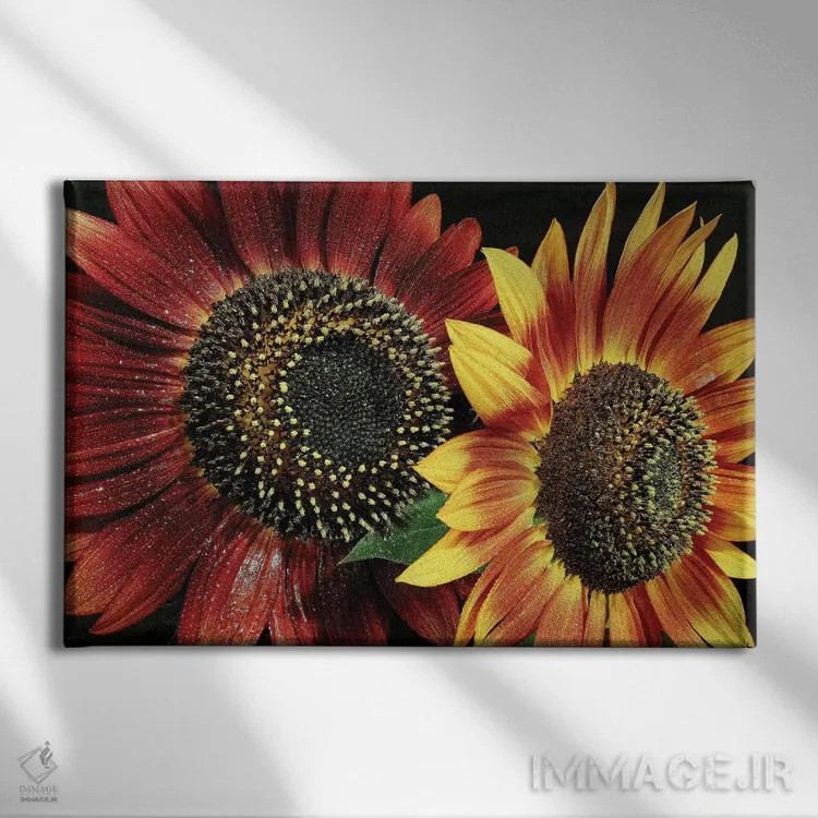 تابلو گل ۱ اثر گوران آناستاسوفسکی (عکاس طبیعت مقدونیه) - نمای روبهرو روی دیوار