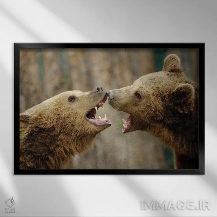 تابلو مبارزه اثر گوران آناستاسوفسکی (عکاس طبیعت مقدونیه) - نمای قابدار مشکی