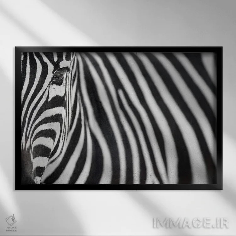 تابلو گورخر ۲۰ اثر گوران آناستاسوفسکی (عکاس طبیعت مقدونیه) - نمای قابدار مشکی