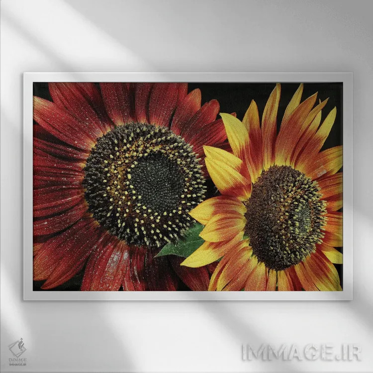 تابلو گل ۱ اثر گوران آناستاسوفسکی (عکاس طبیعت مقدونیه) - نمای قابدار سفید