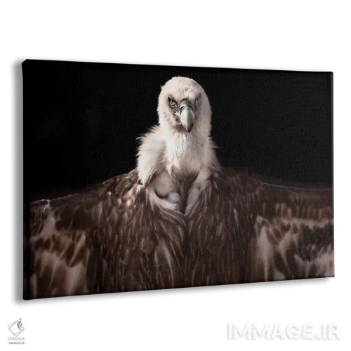 تابلو گریفون ۱ (جانور افسانهای) اثر گوران آناستاسوفسکی (عکاس طبیعت مقدونیه) - نمای پرسپکتیو محصول