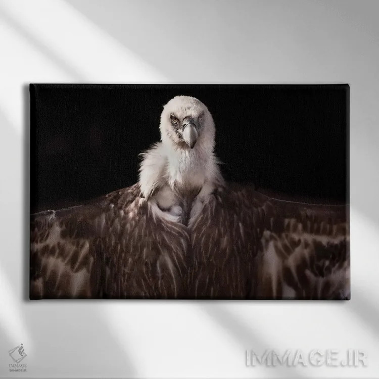 تابلو گریفون ۱ (جانور افسانهای) اثر گوران آناستاسوفسکی (عکاس طبیعت مقدونیه) - نمای روبهرو روی دیوار