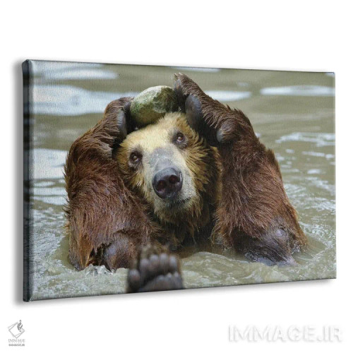 تابلو سلام اثر گوران آناستاسوفسکی (عکاس طبیعت مقدونیه) - نمای پرسپکتیو محصول