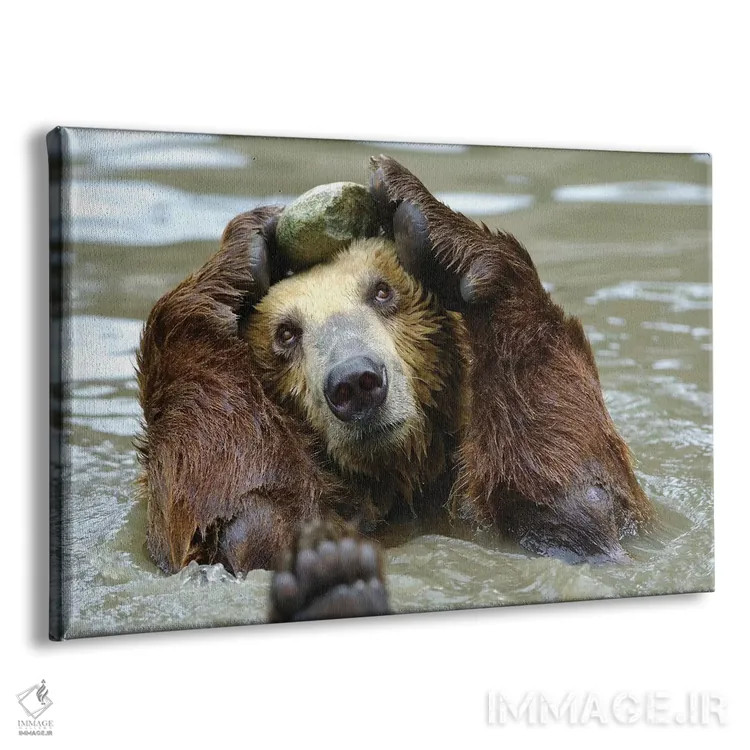 تابلو سلام اثر گوران آناستاسوفسکی (عکاس طبیعت مقدونیه) - نمای پرسپکتیو محصول