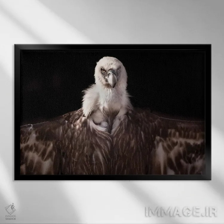 تابلو گریفون ۱ (جانور افسانهای) اثر گوران آناستاسوفسکی (عکاس طبیعت مقدونیه) - نمای قابدار مشکی