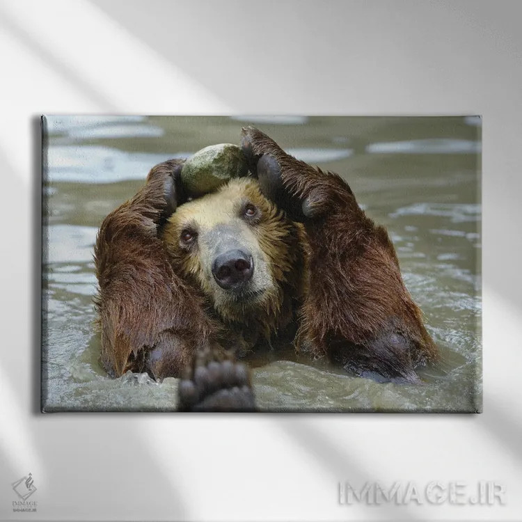 تابلو سلام اثر گوران آناستاسوفسکی (عکاس طبیعت مقدونیه) - نمای روبهرو روی دیوار