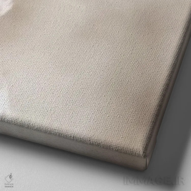 تابلو نگاه زرافه اثر گوران آناستاسوفسکی (عکاس طبیعت مقدونیه) - نمای نزدیک بافت بوم