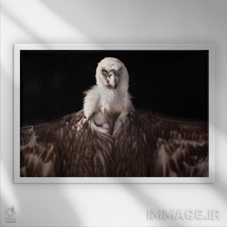 تابلو گریفون ۱ (جانور افسانهای) اثر گوران آناستاسوفسکی (عکاس طبیعت مقدونیه) - نمای قابدار سفید