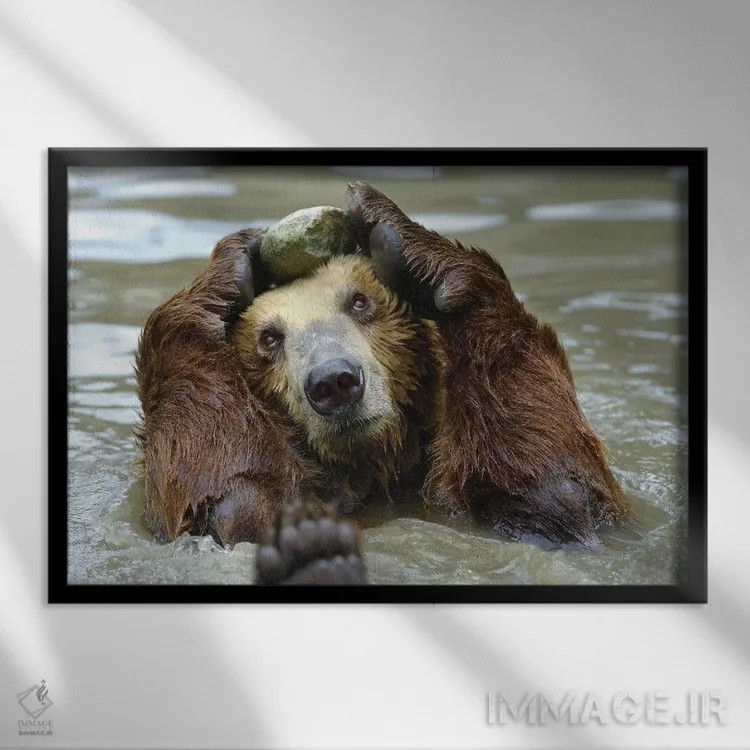 تابلو سلام اثر گوران آناستاسوفسکی (عکاس طبیعت مقدونیه) - نمای قابدار مشکی