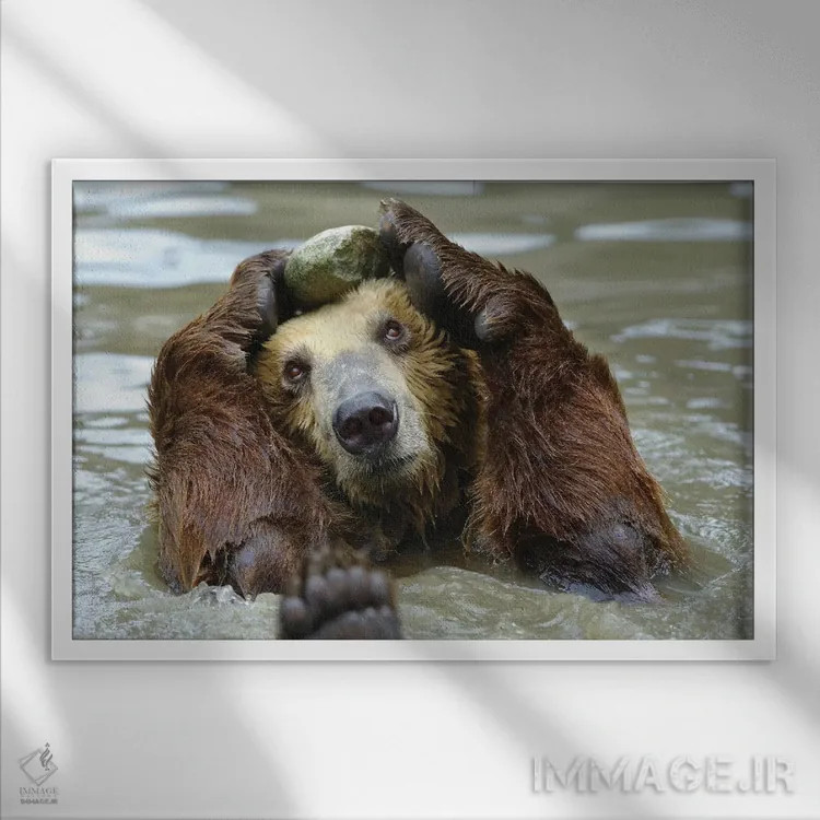 تابلو سلام اثر گوران آناستاسوفسکی (عکاس طبیعت مقدونیه) - نمای قابدار سفید