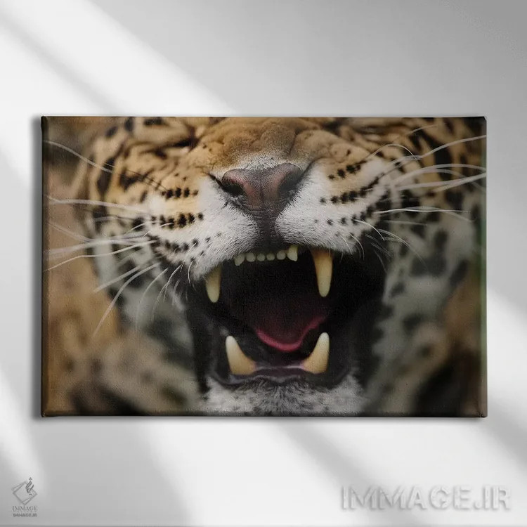 تابلو جگوار پنجم اثر گوران آناستاسوفسکی (عکاس طبیعت مقدونیه) - نمای روبهرو روی دیوار