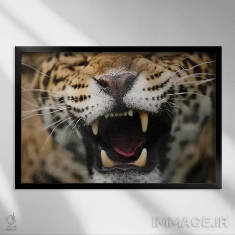 تابلو جگوار پنجم اثر گوران آناستاسوفسکی (عکاس طبیعت مقدونیه) - نمای قابدار مشکی