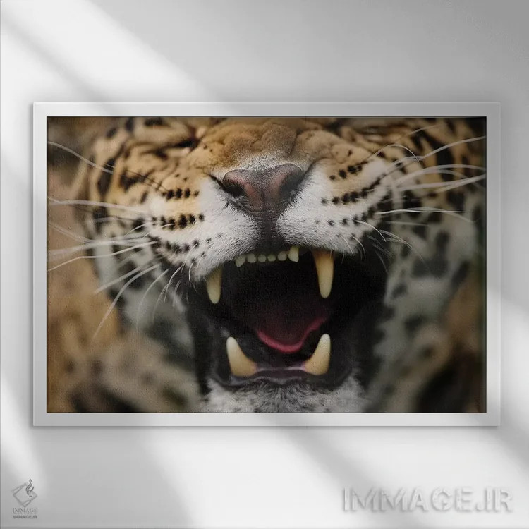 تابلو جگوار پنجم اثر گوران آناستاسوفسکی (عکاس طبیعت مقدونیه) - نمای قابدار سفید