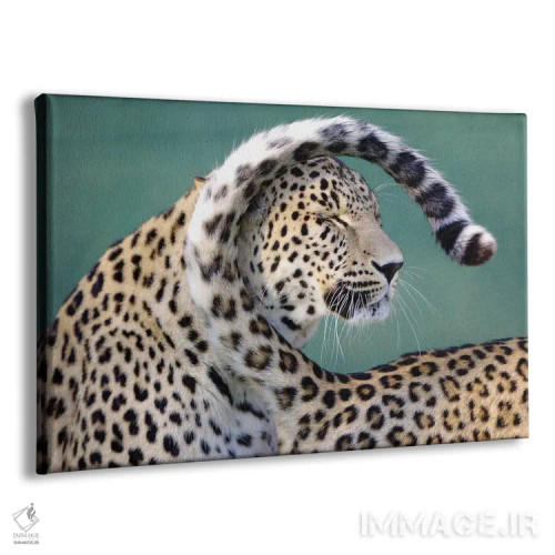 تابلو پلنگها اثر گوران آناستاسوفسکی (عکاس طبیعت مقدونیه) - نمای پرسپکتیو محصول