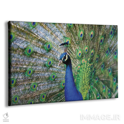 تابلو زیبایی سوم اثر گوران آناستاسوفسکی (عکاس طبیعت مقدونیه) - نمای پرسپکتیو محصول