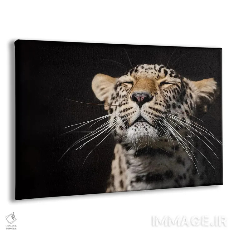 تابلو پلنگ اول اثر گوران آناستاسوفسکی (عکاس طبیعت مقدونیه) - نمای پرسپکتیو محصول