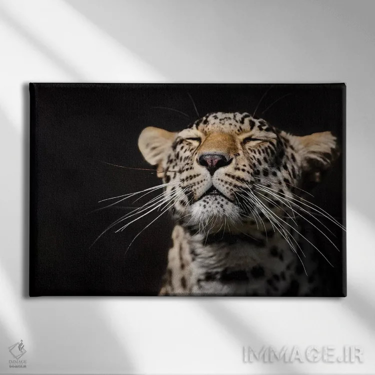 تابلو پلنگ اول اثر گوران آناستاسوفسکی (عکاس طبیعت مقدونیه) - نمای روبهرو روی دیوار