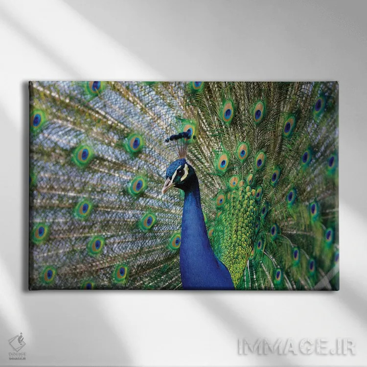 تابلو زیبایی سوم اثر گوران آناستاسوفسکی (عکاس طبیعت مقدونیه) - نمای روبهرو روی دیوار