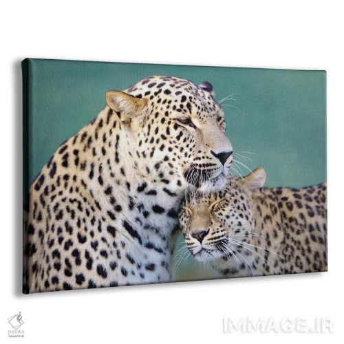 تابلو عشق پلنگها اثر گوران آناستاسوفسکی (عکاس طبیعت مقدونیه) - نمای پرسپکتیو محصول