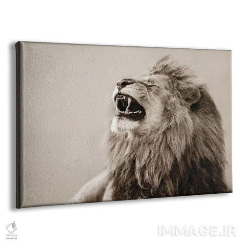 تابلو شیر اثر گوران آناستاسوفسکی (عکاس طبیعت مقدونیه) - نمای پرسپکتیو محصول