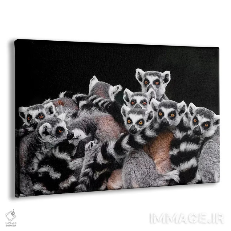 تابلو لمورها اثر گوران آناستاسوفسکی (عکاس طبیعت مقدونیه) - نمای پرسپکتیو محصول