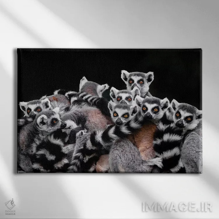 تابلو لمورها اثر گوران آناستاسوفسکی (عکاس طبیعت مقدونیه) - نمای روبهرو روی دیوار