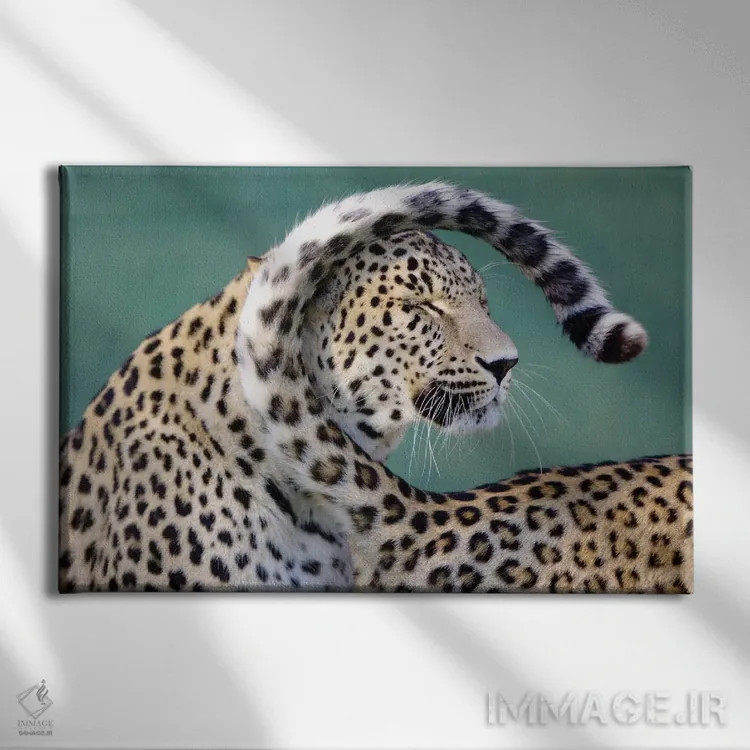 تابلو پلنگها اثر گوران آناستاسوفسکی (عکاس طبیعت مقدونیه) - نمای روبهرو روی دیوار