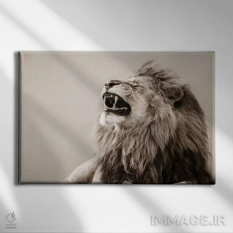 تابلو شیر اثر گوران آناستاسوفسکی (عکاس طبیعت مقدونیه) - نمای روبهرو روی دیوار