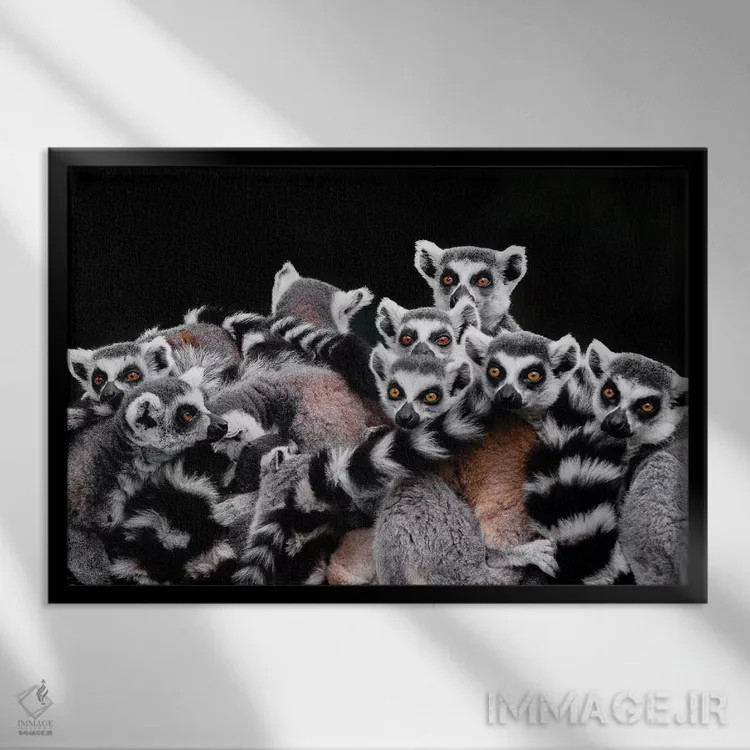 تابلو لمورها اثر گوران آناستاسوفسکی (عکاس طبیعت مقدونیه) - نمای قابدار مشکی