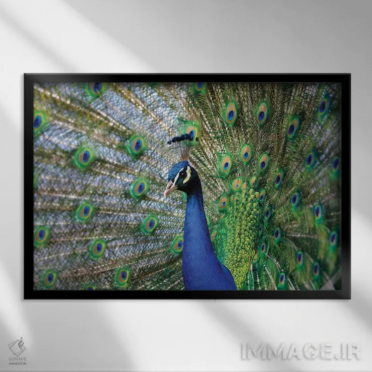 تابلو زیبایی سوم اثر گوران آناستاسوفسکی (عکاس طبیعت مقدونیه) - نمای قابدار مشکی