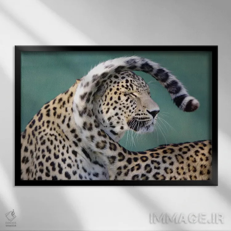 تابلو پلنگها اثر گوران آناستاسوفسکی (عکاس طبیعت مقدونیه) - نمای قابدار مشکی