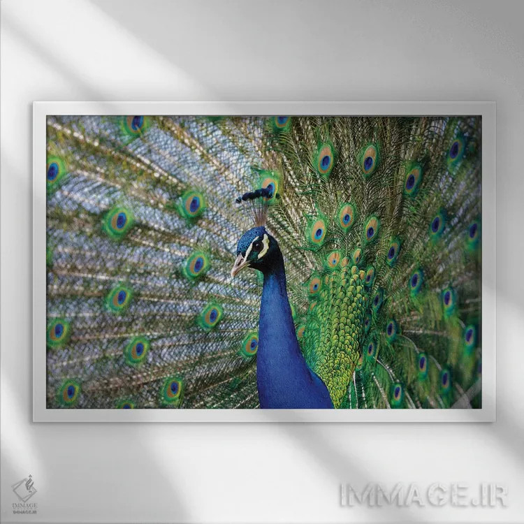 تابلو زیبایی سوم اثر گوران آناستاسوفسکی (عکاس طبیعت مقدونیه) - نمای قابدار سفید