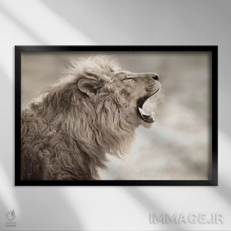 تابلو دود شیر اثر گوران آناستاسوفسکی (عکاس طبیعت مقدونیه) - نمای قابدار مشکی