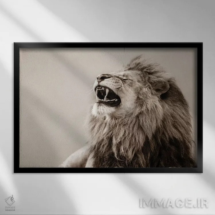 تابلو شیر اثر گوران آناستاسوفسکی (عکاس طبیعت مقدونیه) - نمای قابدار مشکی