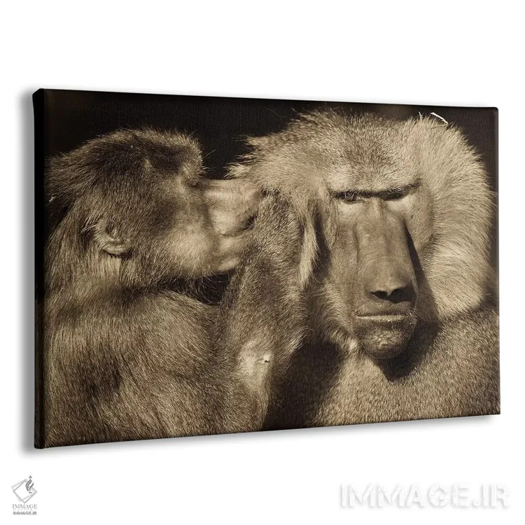 تابلو صحبت اثر گوران آناستاسوفسکی (عکاس طبیعت مقدونیه) - نمای پرسپکتیو محصول